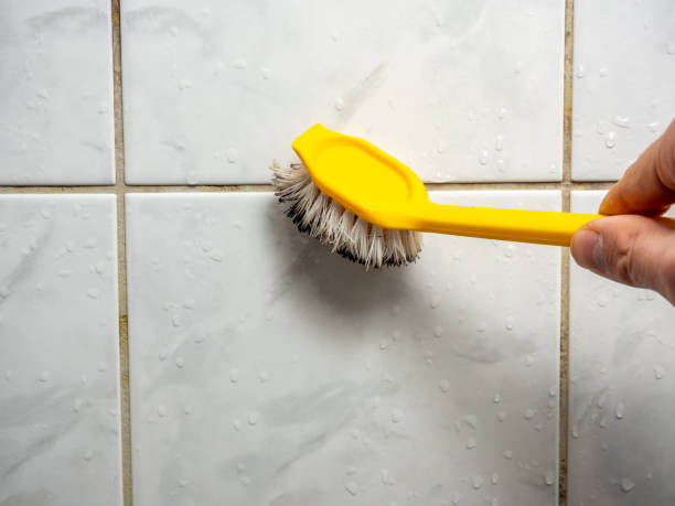 Mold Removal and Inspection in Palmyra, NJ